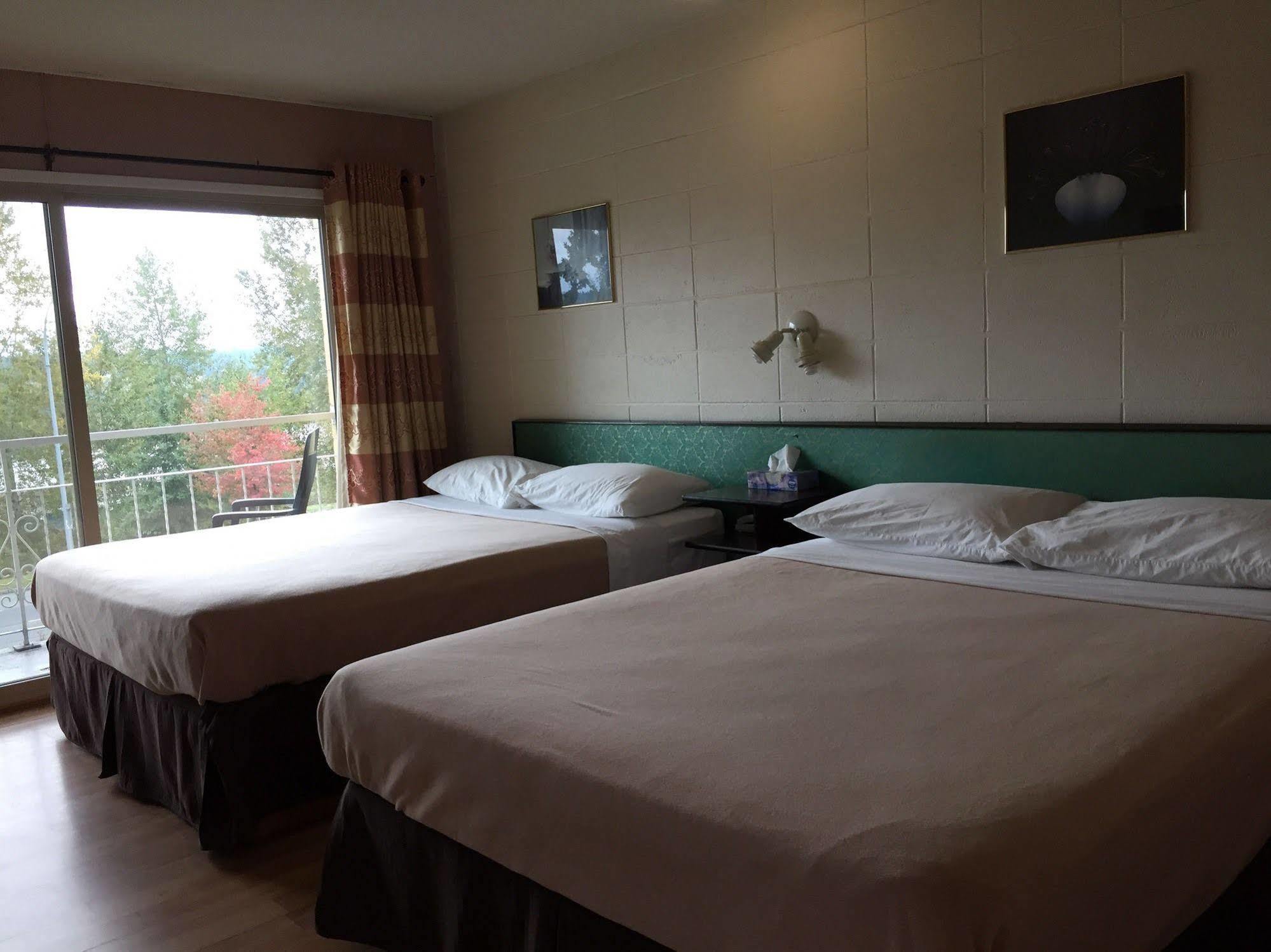 Holiday House Motel Ladysmith Bagian luar foto